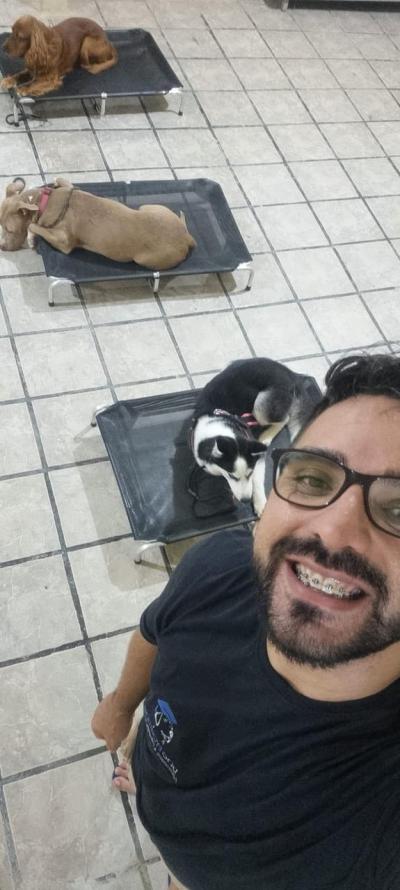Nossos dias são cheios de aprendizado e momentos tranquilos como esse. Após as sessões de modelagem comportamental, é comum vermos cães mais relaxados e confiantes.