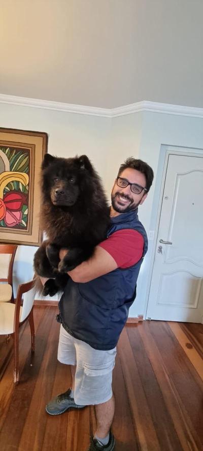 Esta é uma Chow Chow chamada Luna sociável e carinhosa, que foi treinada desde filhote. Por 9 meses de trabalho, ela se destaca pelo comportamento calmo, sendo um exemplo entre cães da mesma raça. É um dos nossos caso de sucesso com uma raça que é tão temida.