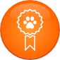 Cursos Cursos